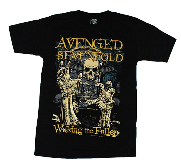 A7X Avenged Sevenfold  NTS 111